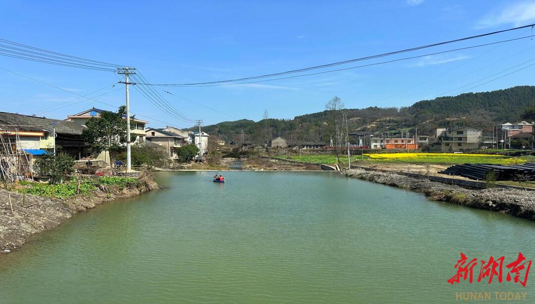 用鲜花绿草绘制“锦绣山河” ——新晃凉伞镇改善人居环境掠影(图6)