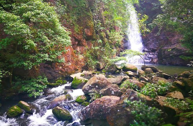 新澳门游戏在深圳你只知莲花山等却鲜有人知马峦山公园免费还可摘果子(图3)