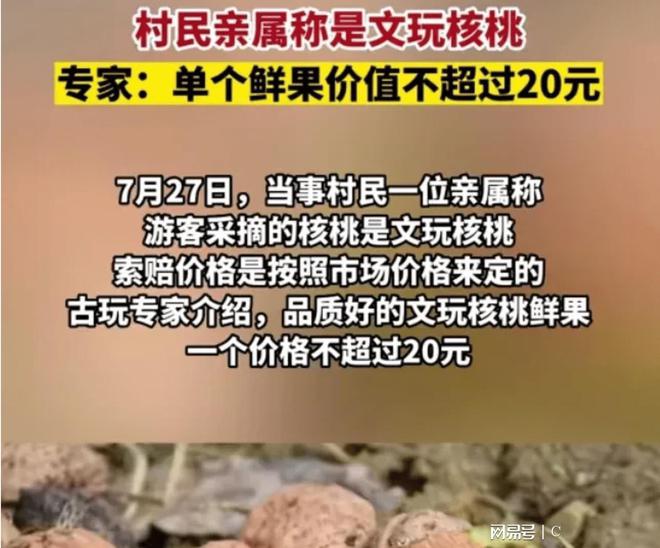 新澳门游戏网站入口游客摘村民家2个核桃竟被索赔3000元专家看后有话说(图3)