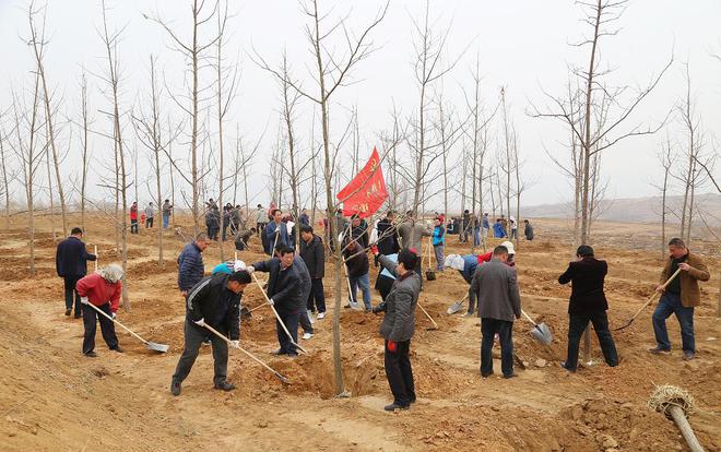 新澳门游戏网站入口耕地不种粮再现“种树潮”会不会严管严惩？这4点必须清楚(图3)