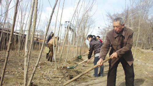 新澳门游戏网站入口耕地不种粮再现“种树潮”会不会严管严惩？这4点必须清楚(图4)