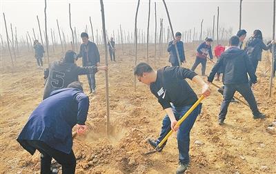 新澳门游戏网站入口耕地不种粮再现“种树潮”会不会严管严惩？这4点必须清楚(图6)