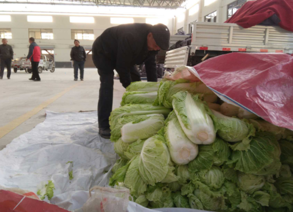 兴隆蔬菜水果批发市场启用附近种植户卖菜更方便(图1)