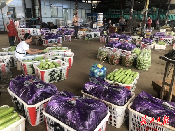 记者探访武汉各大种植基地和批发市场：蔬菜日采收量比消费量多一千多吨供应很足(图3)