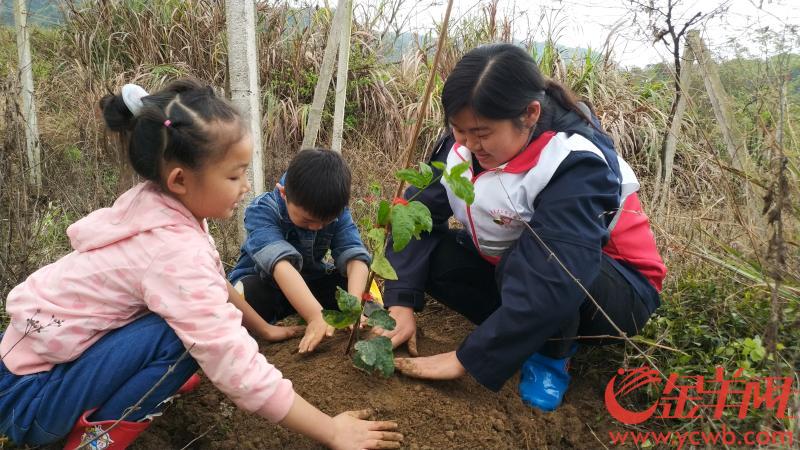 新澳门游戏黄金季种“黄金果”韶赣高速助农种百香果苗1000余株(图1)