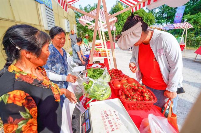 新澳门游戏夏日之际以“莓”为媒到武汉东西湖慈惠街来体验水果采摘(图1)