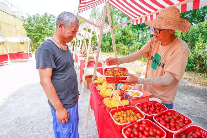 新澳门游戏夏日之际以“莓”为媒到武汉东西湖慈惠街来体验水果采摘(图3)