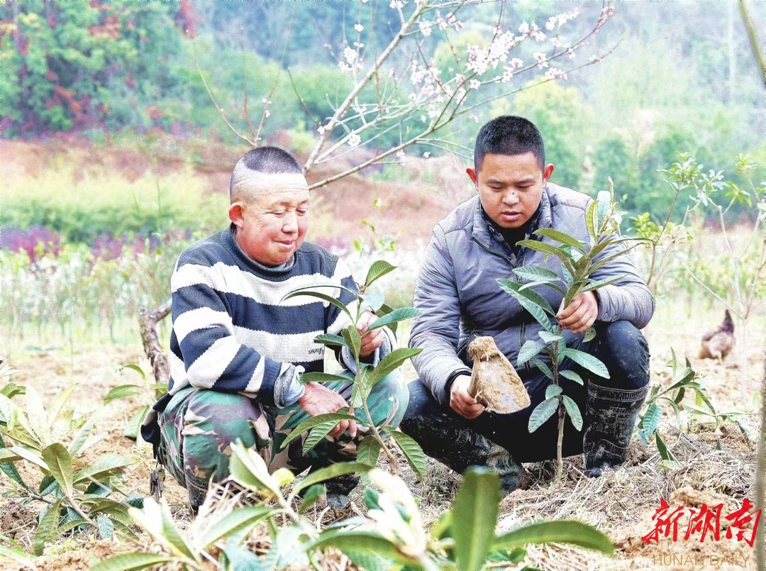 岳阳经开区：花果山有了“新大王”(图3)