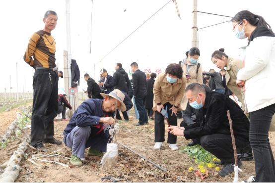 新澳门游戏网站入口这场会议搭起了秦地苹果产业的“四梁八柱”(图4)