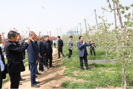 新澳门游戏网站入口这场会议搭起了秦地苹果产业的“四梁八柱”(图5)