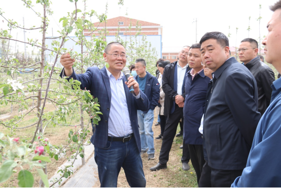 新澳门游戏网站入口这场会议搭起了秦地苹果产业的“四梁八柱”(图6)