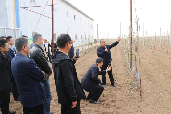 新澳门游戏网站入口这场会议搭起了秦地苹果产业的“四梁八柱”(图7)