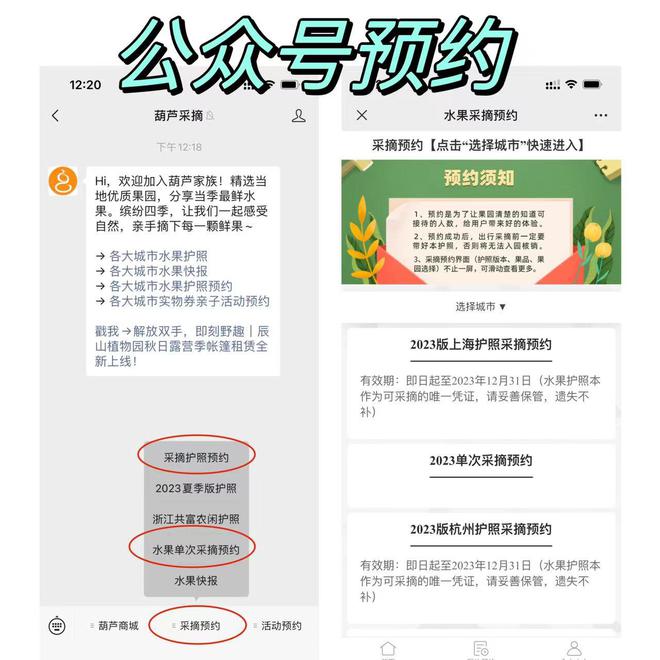 水果采摘活动成功案例 乐享其约葫芦采摘品牌搭建线上预约系统(图4)