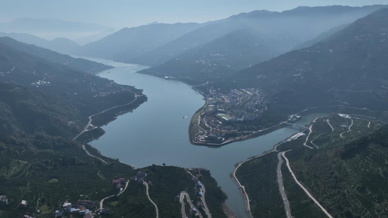 【和美乡村 荆楚画卷】致富“金果”铺就龙口振兴路(图1)