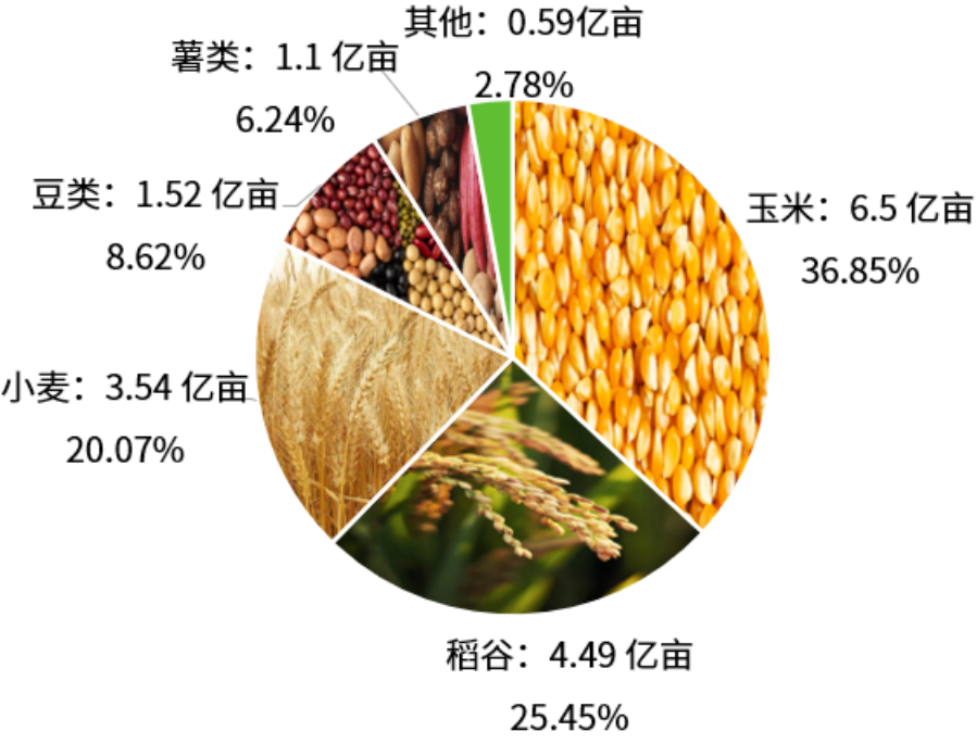 新澳门游戏网站入口全国主要农作物种植面积一览(图3)