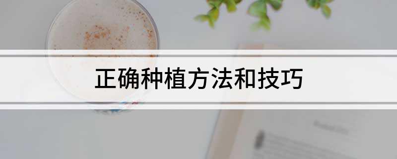 新澳门游戏正确种植方法和技巧(图1)