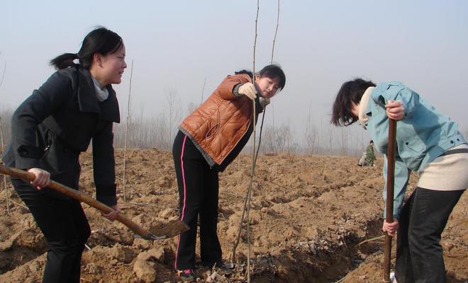 新澳门游戏网站入口地里不种农作物现在流行栽种便宜的果树村民种果树还都很积极(图1)