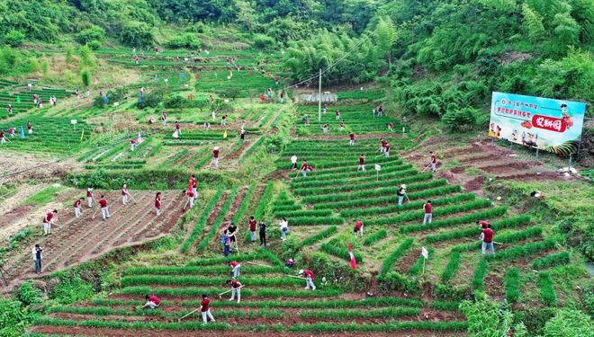 新澳门游戏农耕园、果乐园、工艺园、土木园、微创园这门“必修课”今天在大杭州这座中(图4)