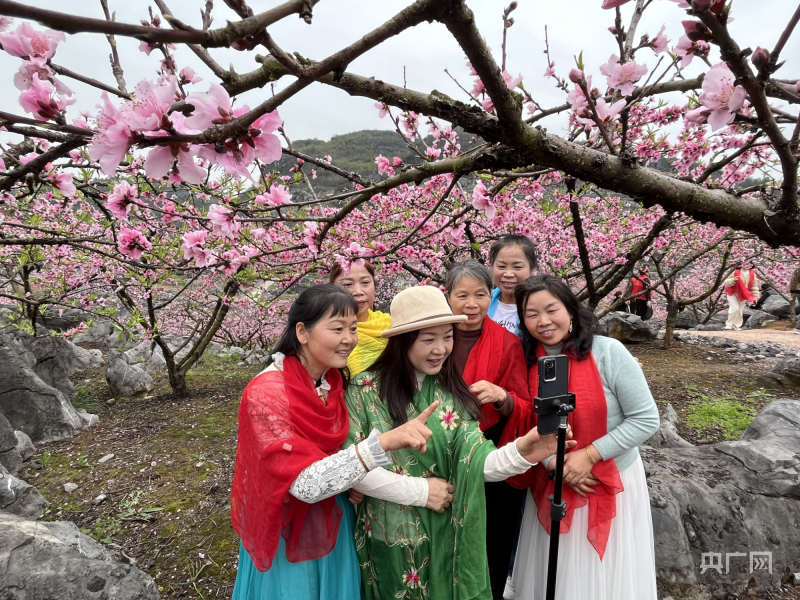 振兴“湘”村香花井村：石头缝里种桃树 桃花谷里“果仙”多(图2)