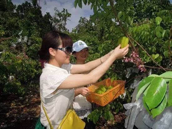 9月丰收季这些水果就在家门口赶紧看有没你家附近的果园(图4)