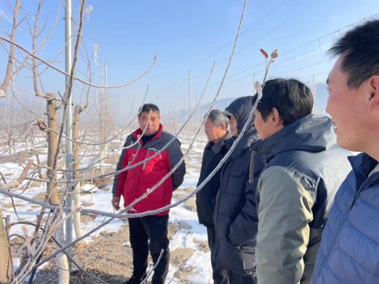 淄博市沂源县南麻街道：新的一年做会开“飞机”的新农人(图2)