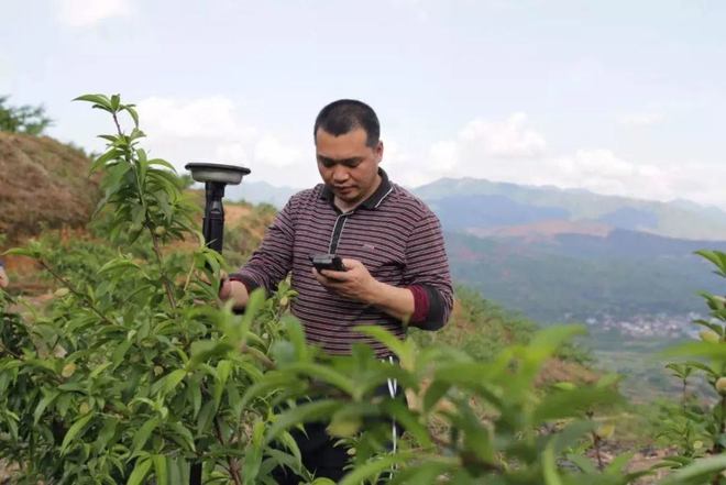 新澳门游戏网站入口极侠遥感无人机 AI 识别农田果园边界更快更精准！(图3)