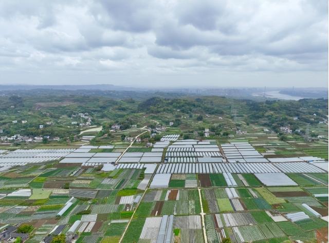 农村“谁来种地”？国家找到了未来种地人是未来农业发展主力军(图15)