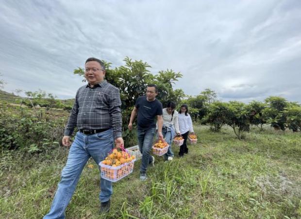 晴隆县长流乡：果树认购 让长流村在产业振兴路上跑出加速度(图2)