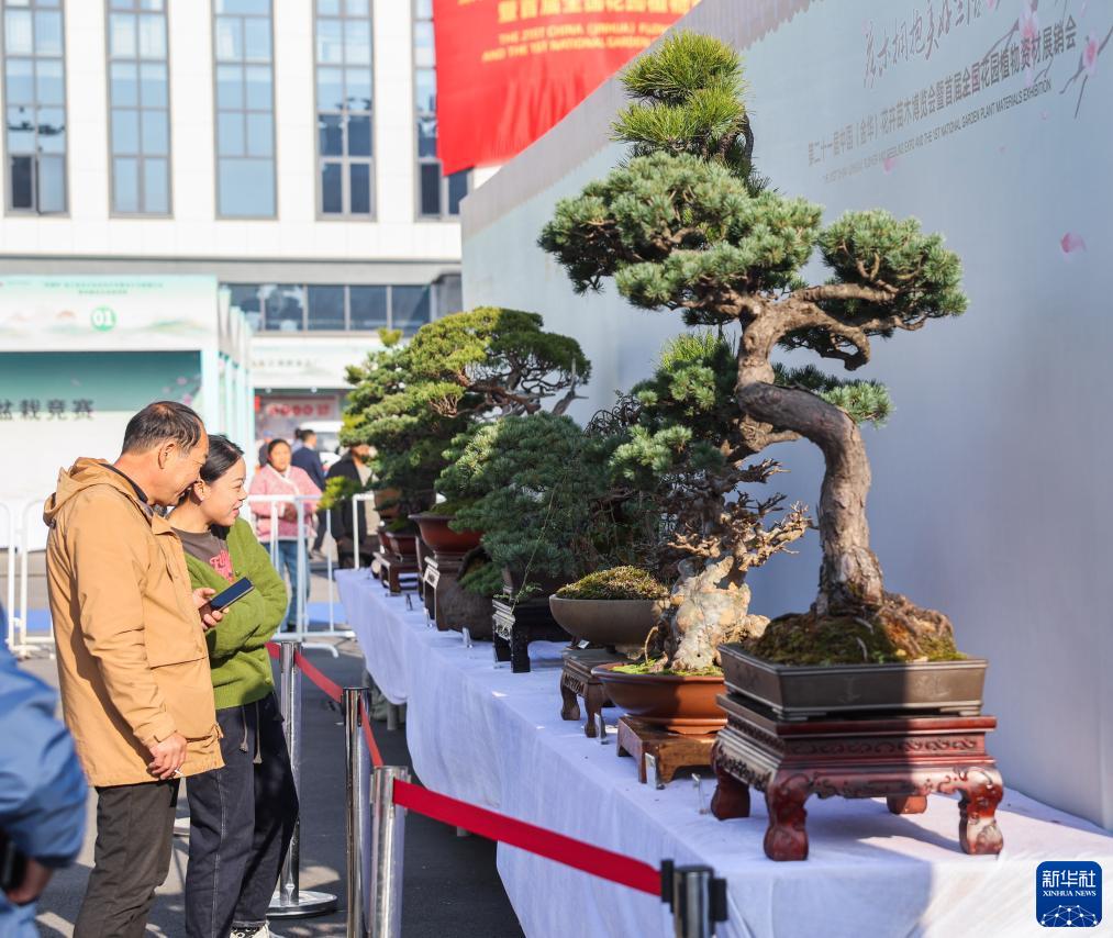 第二十一届中国（金华）花卉苗木博览会开幕(图4)