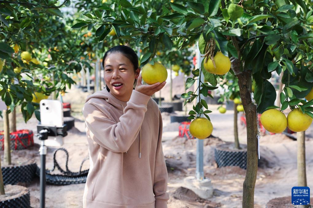 第二十一届中国（金华）花卉苗木博览会开幕(图8)