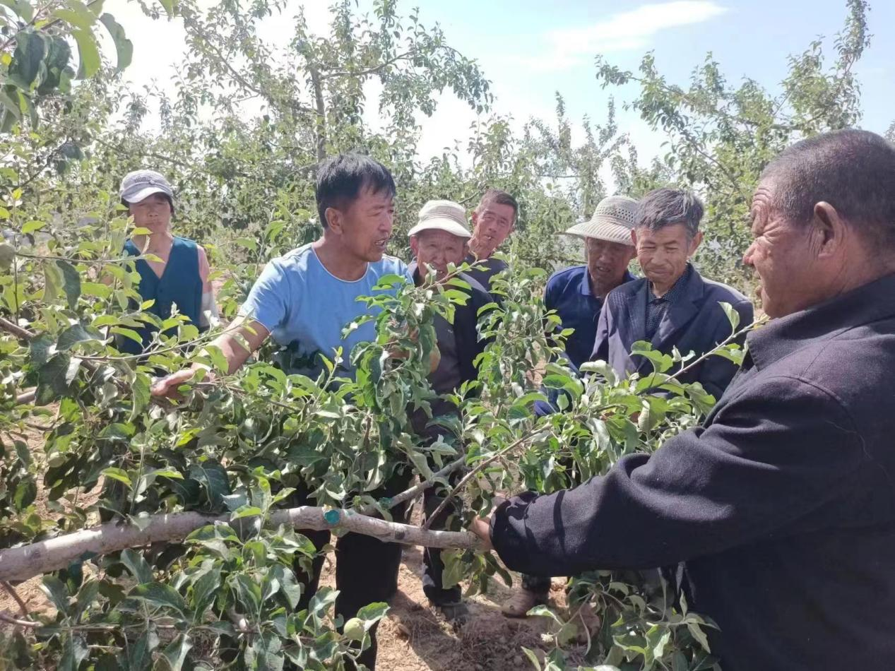 新澳门游戏网站入口陕西榆林市横山区石窑沟办事处举办果树栽培技术培训班(图1)