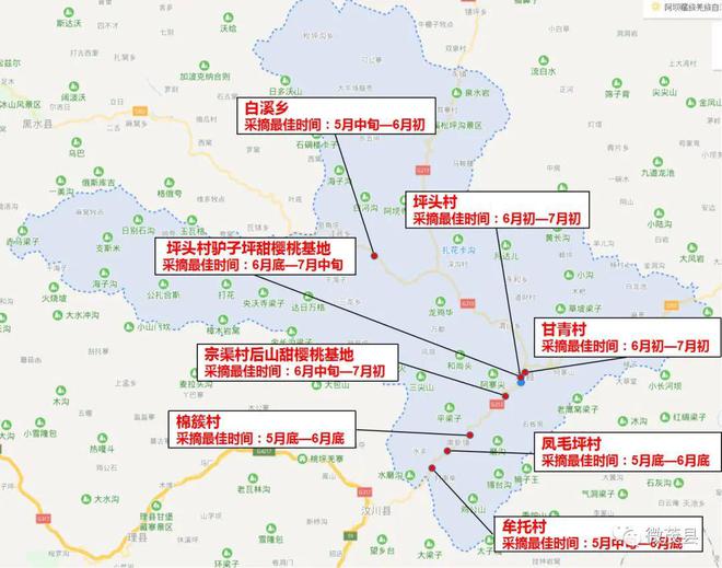 新澳门游戏甜樱桃即将上线个采摘点位村落分享！成都出发1-2天都能玩！(图10)