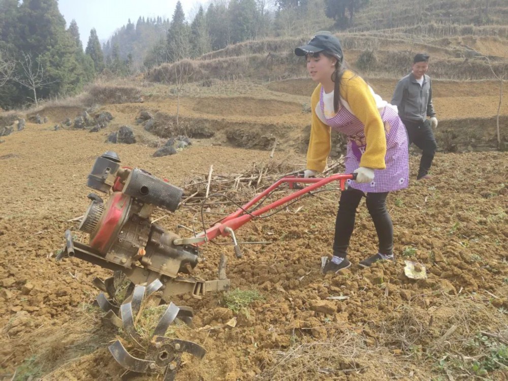 新澳门游戏网站入口互帮互助耕种忙丨纳雍县龙场镇春耕生产见闻(图3)