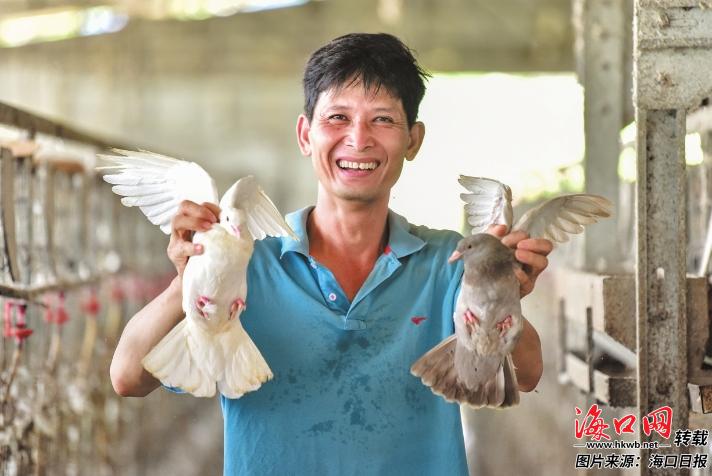 新澳门游戏琼山区红旗镇以乳鸽养殖串起产业链条 乡土人才引路 特色产业兴旺(图2)