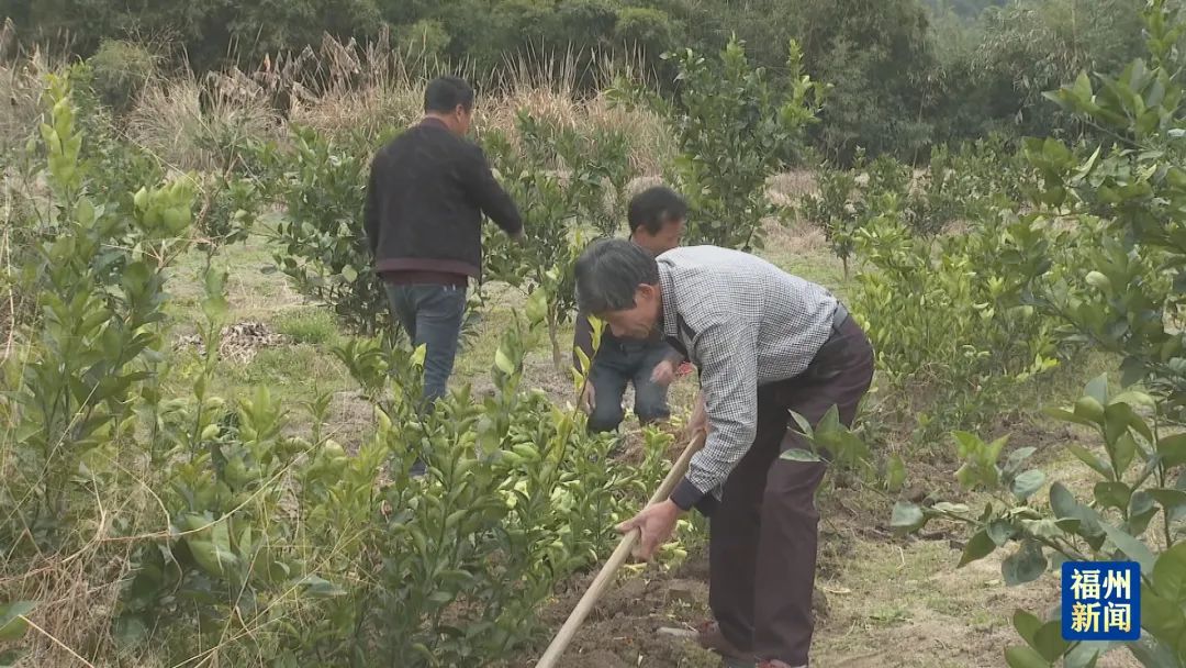 春耕备耕正当时！福州不负好春光(图6)