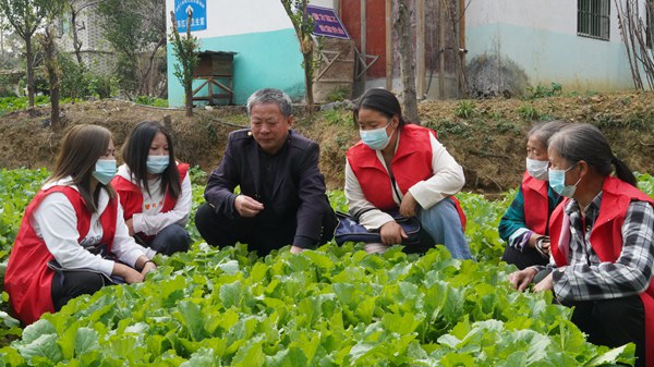 新澳门游戏沿河：高素质农民培育蔬菜生产培训班开班(图1)