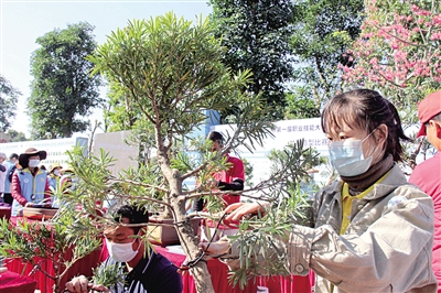 新澳门游戏中山市横栏镇花木行业工联会探索劳资沟通新模式(图1)